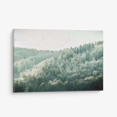 Leinwandbild nebliger reifbedeckter wald – Wallnifity®