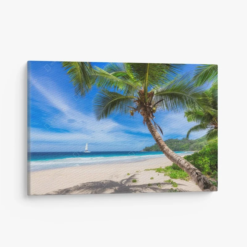 Leinwandbild tropischer strand mit palme