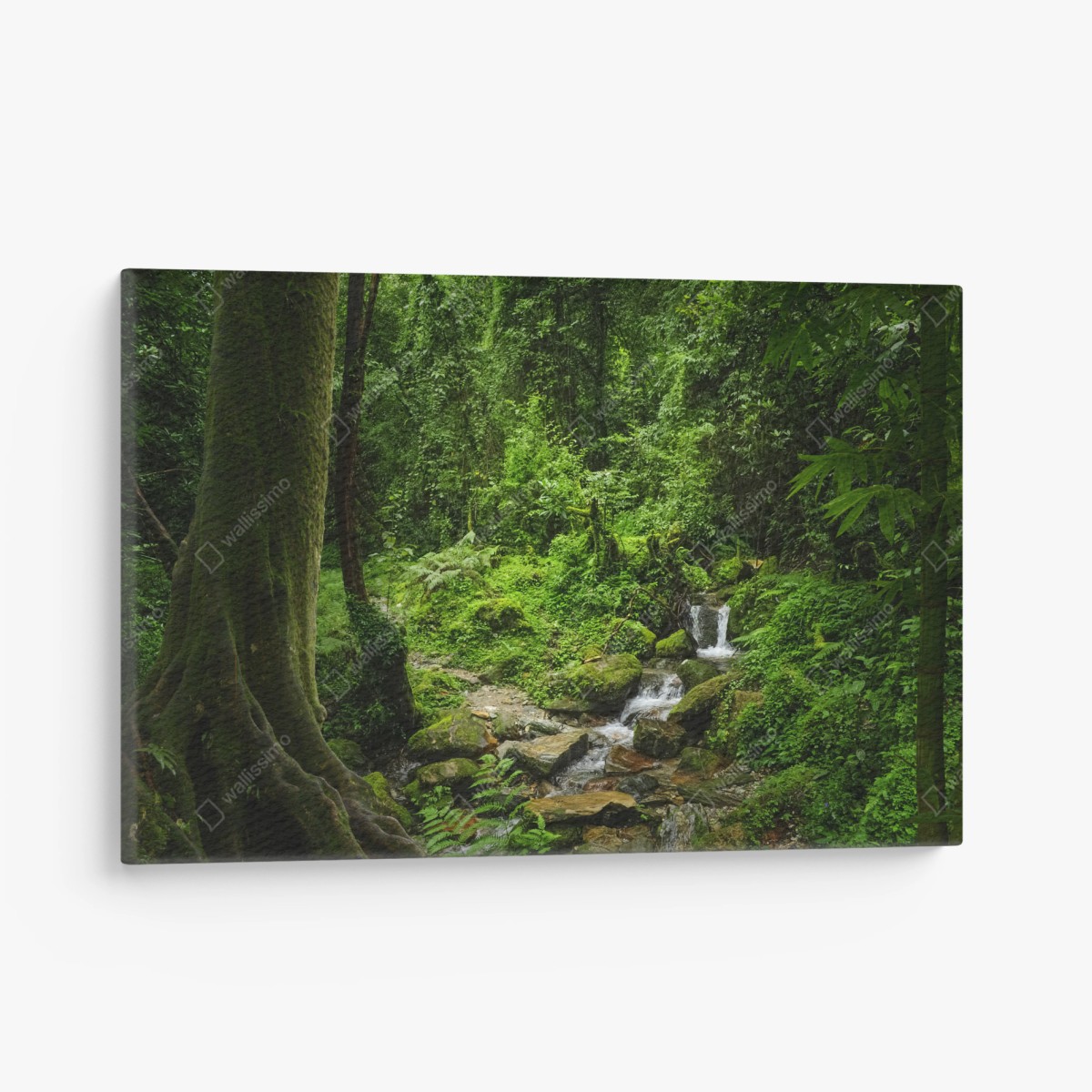 Leinwandbild üppiger grüner waldwasserfall – Wallnifity®