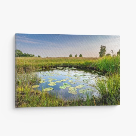 Leinwandbild ruhiger seerosen-teich in der wiese – Wallnifity®
