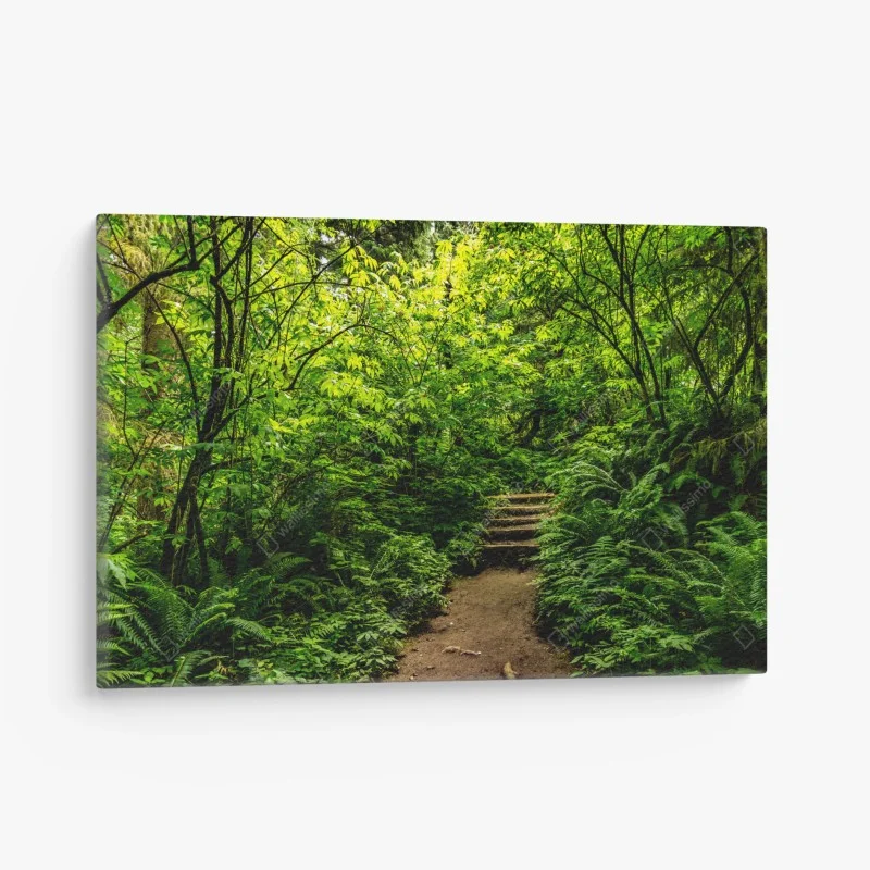 Wälder – Wallnifity®