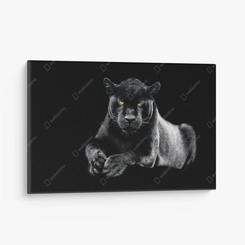 Tiere – Wallnifity®