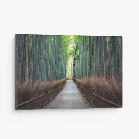 Leinwandbild ruhiger bambuswaldweg – Wallnifity®
