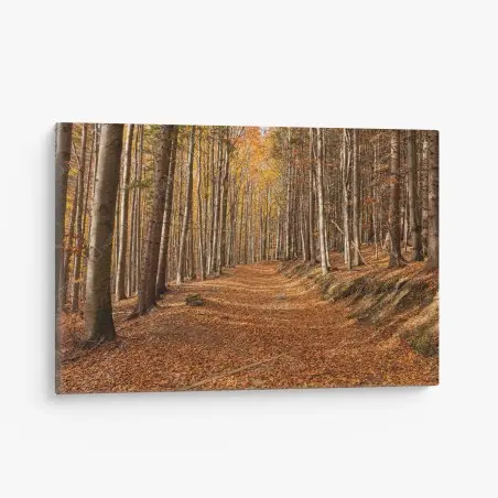Leinwandbild herbstlicher waldweg mit goldenen blättern – Wallnifity®