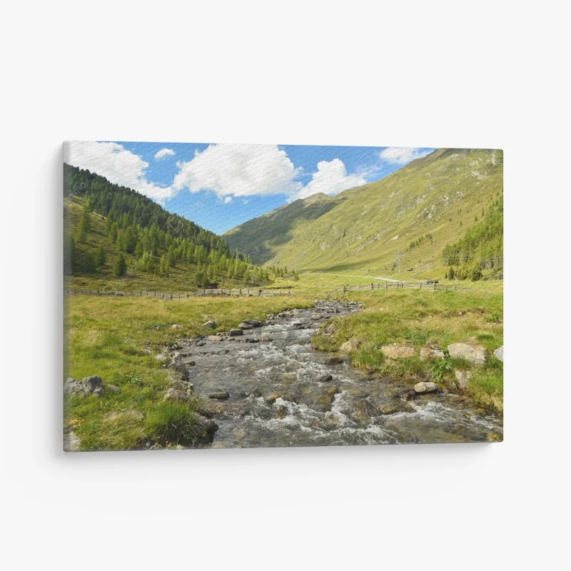 Leinwandbild alpenbach im sonnigen tal