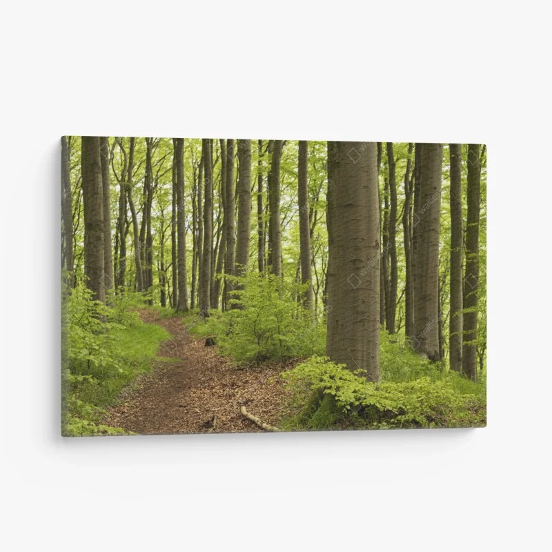 Wohnzimmer – Wallnifity®