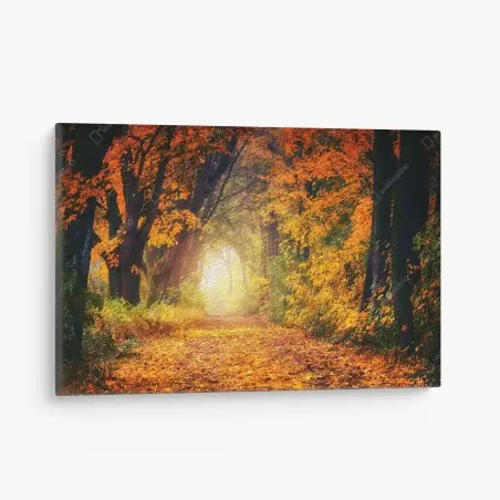 Leinwandbild herbstlicher waldpfad im goldenen licht – Wallnifity®