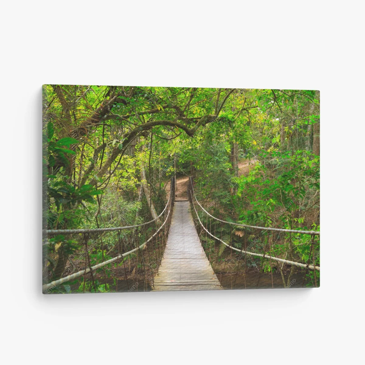 Leinwandbild hängende holzbrücke im grünen wald – Wallnifity® Leinwandbild hängende holzbrücke im grünen wald – Wallnifity®