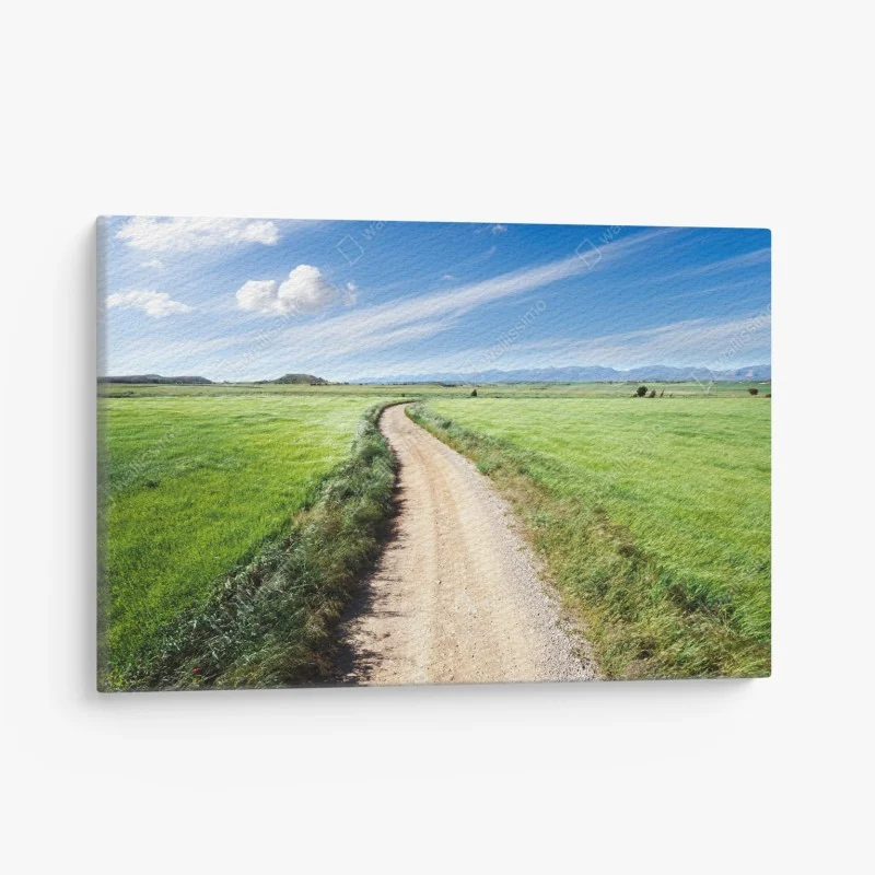 Leinwandbild gewundener landweg durch grüne wiesen – Wallnifity®