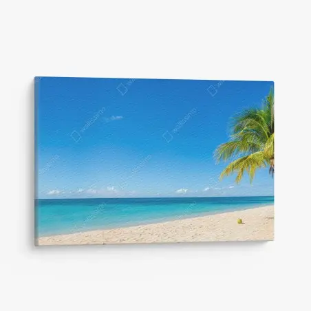Leinwandbild tropischer strand mit türkiswasser und palme – Wallnifity®
