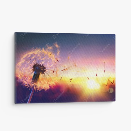 Leinwandbild goldener löwenzahn bei sonnenuntergang – Wallnifity®