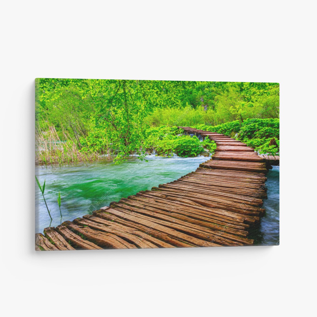 Leinwandbild ruhiger grüner steg über dem fluss – Wallnifity®