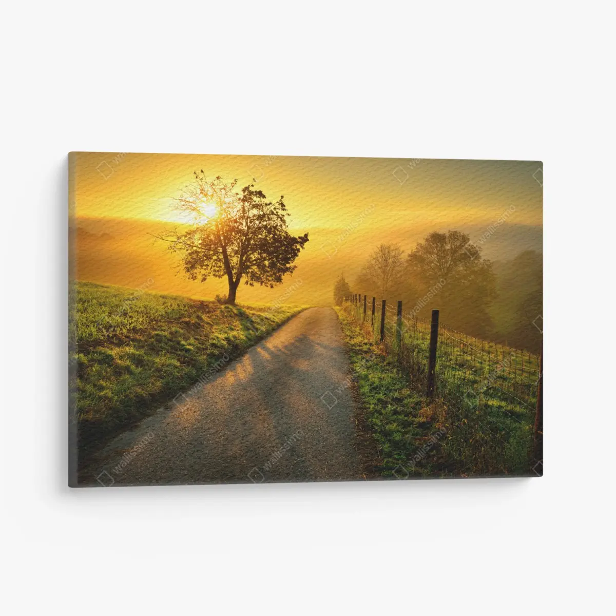 Leinwandbild sonnenbeschienener landweg durch die morgenwiese – Wallnifity®