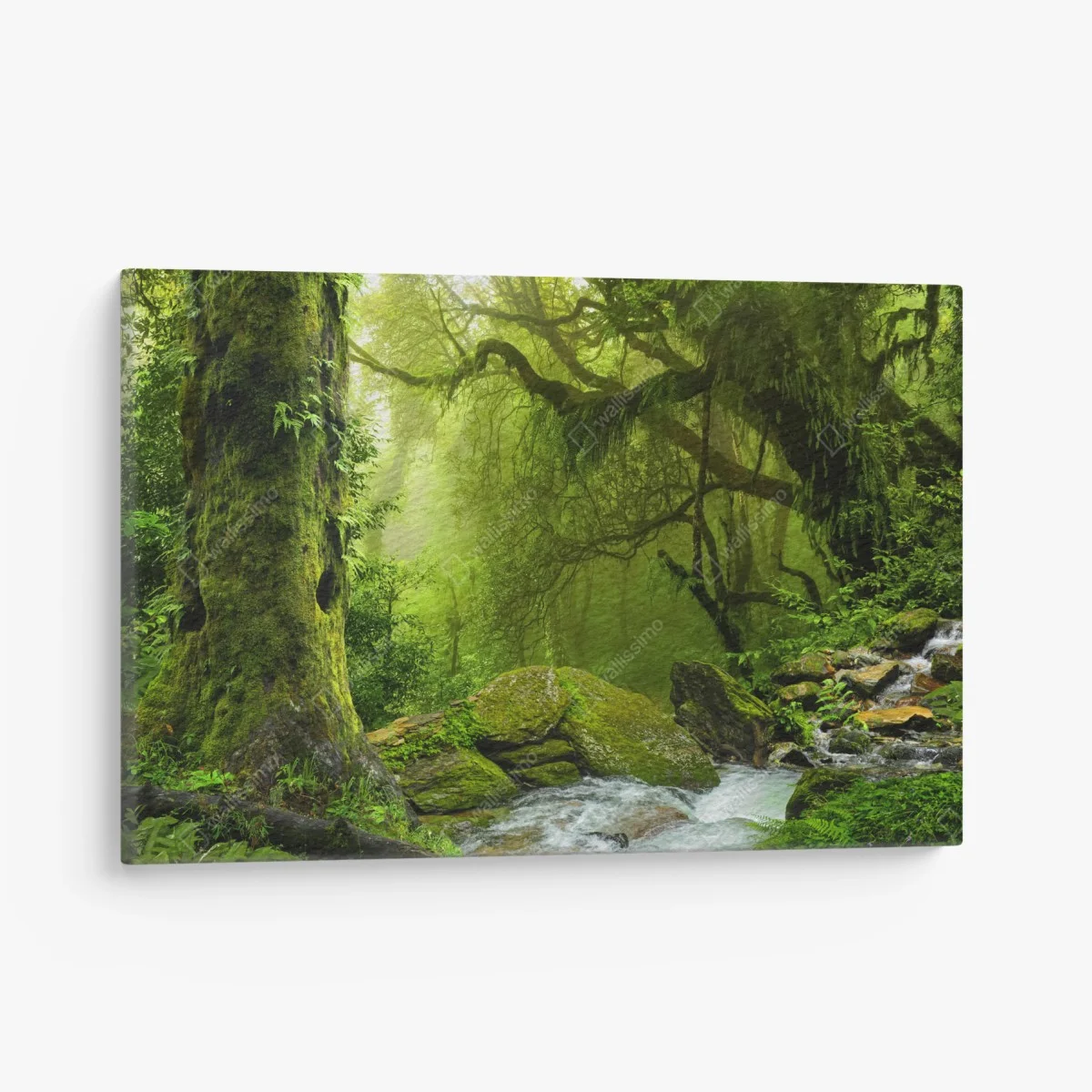 Leinwandbild verzauberter grüner waldbach – Wallnifity® Leinwandbild verzauberter grüner waldbach – Wallnifity®
