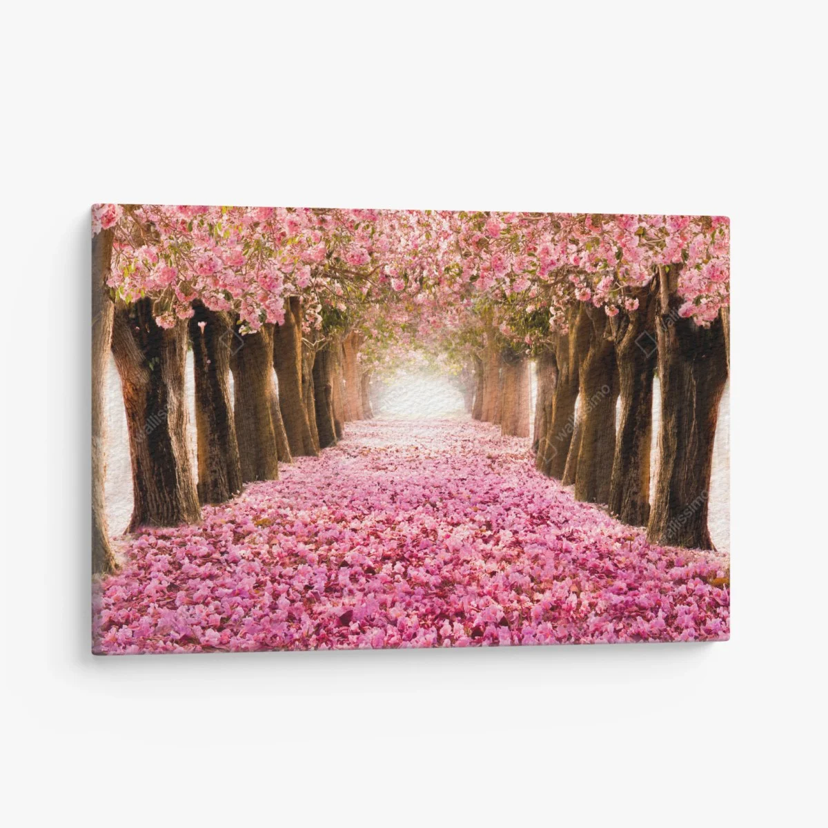 Leinwandbild rosa blütenallee unter kirschbäumen – Wallnifity® Leinwandbild rosa blütenallee unter kirschbäumen – Wallnifity®