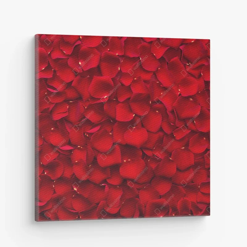 Leinwandbild rote rosenblätter hintergrund