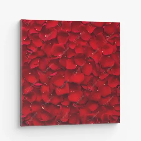 Leinwandbild rote rosenblätter hintergrund – Wallnifity®
