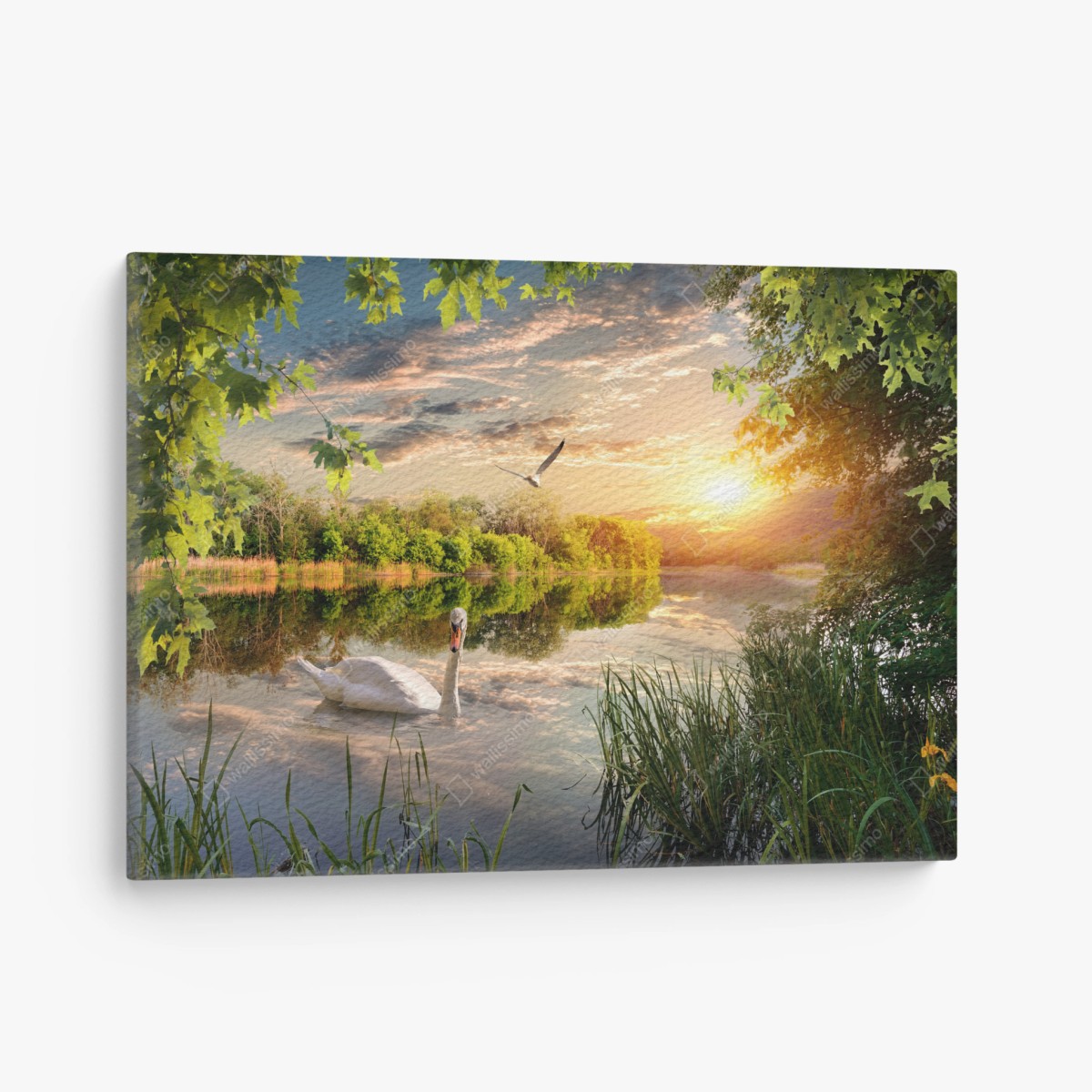 Leinwandbild sonnenuntergang mit schwan auf stillem see – Wallnifity®
