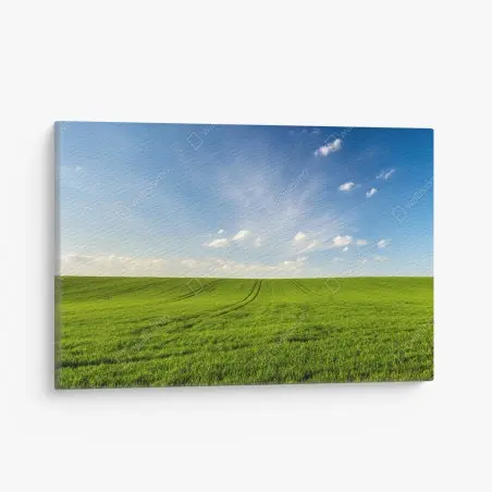 Leinwandbild frühlingsgrüne wiesenpanorama – Wallnifity®