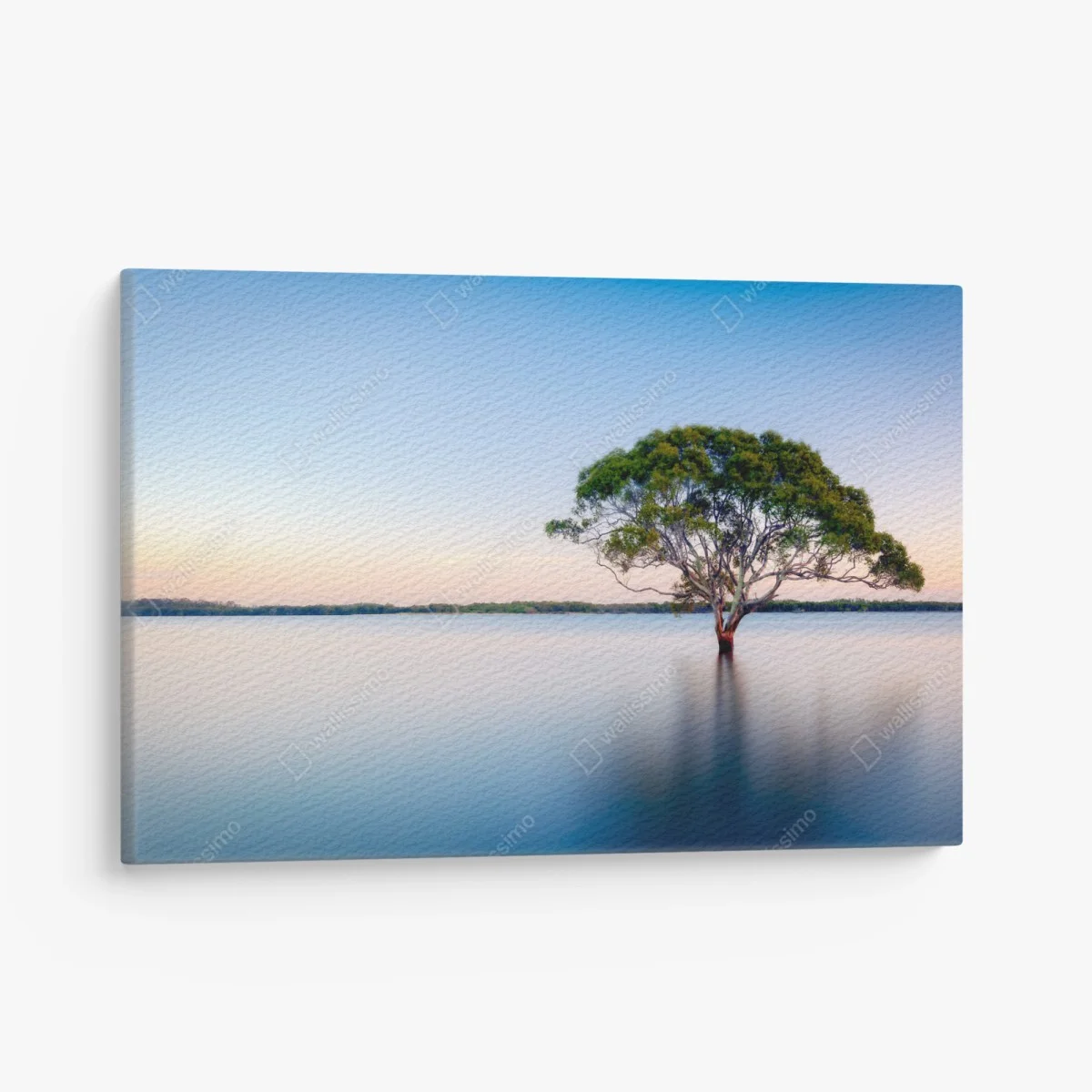 Leinwandbild einsamer baum am stillen see – Wallnifity® Leinwandbild einsamer baum am stillen see – Wallnifity®