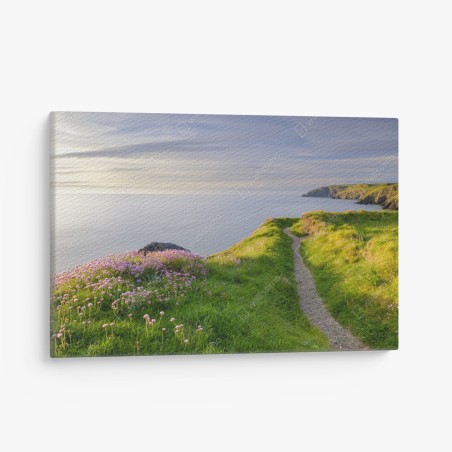 Leinwandbild Ceibwr Bay küstenpfad bei dämmerung – Wallnifity®