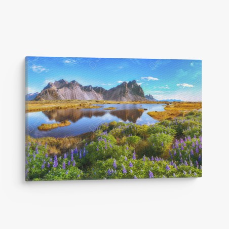 Leinwandbild lebendige lupinenwiesen bei Vestrahorn, Island – Wallnifity®