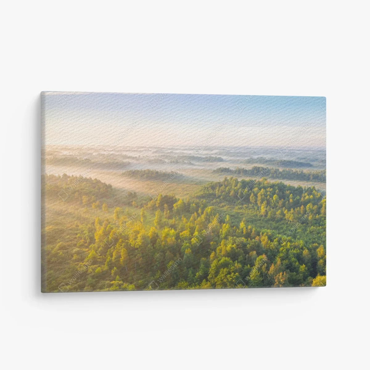 Leinwandbild nebliger morgen im sumpf von Zvanets – Wallnifity® Leinwandbild nebliger morgen im sumpf von Zvanets – Wallnifity®