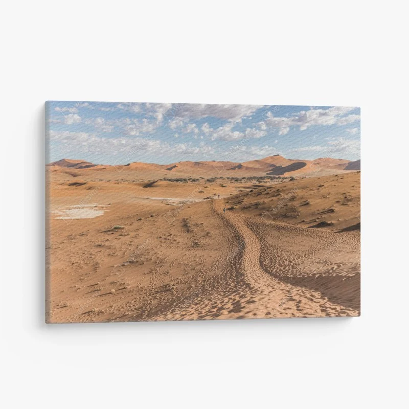 Wüste – Wallnifity®