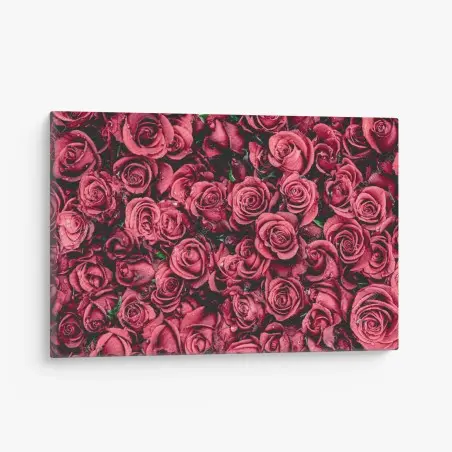 Leinwandbild pralle rote rosen wandbild – Wallnifity®
