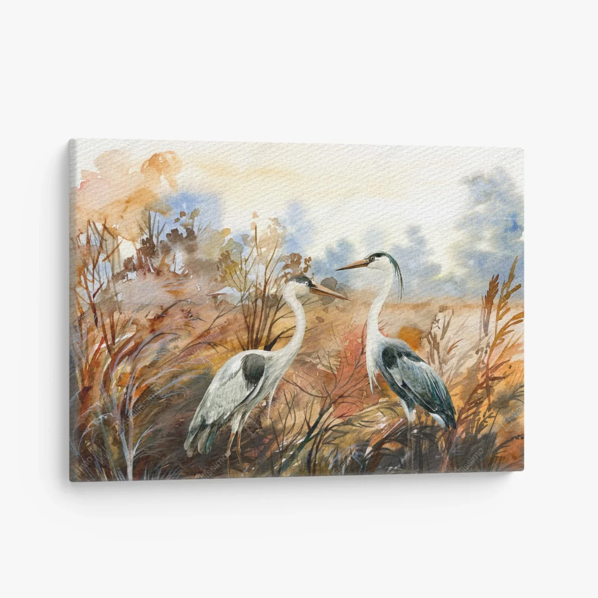 Leinwandbild zwei reiher im herbstlichen sumpf – Wallnifity® Leinwandbild zwei reiher im herbstlichen sumpf – Wallnifity®