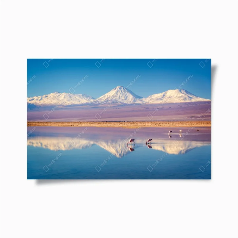 Natur – Wallnifity®