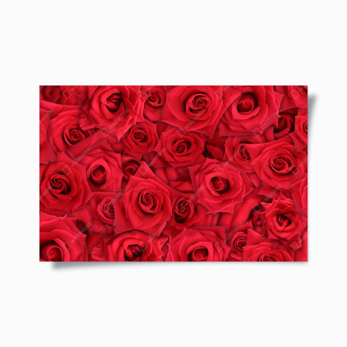 Poster leuchtende rote rosen collage – Wallnifity®