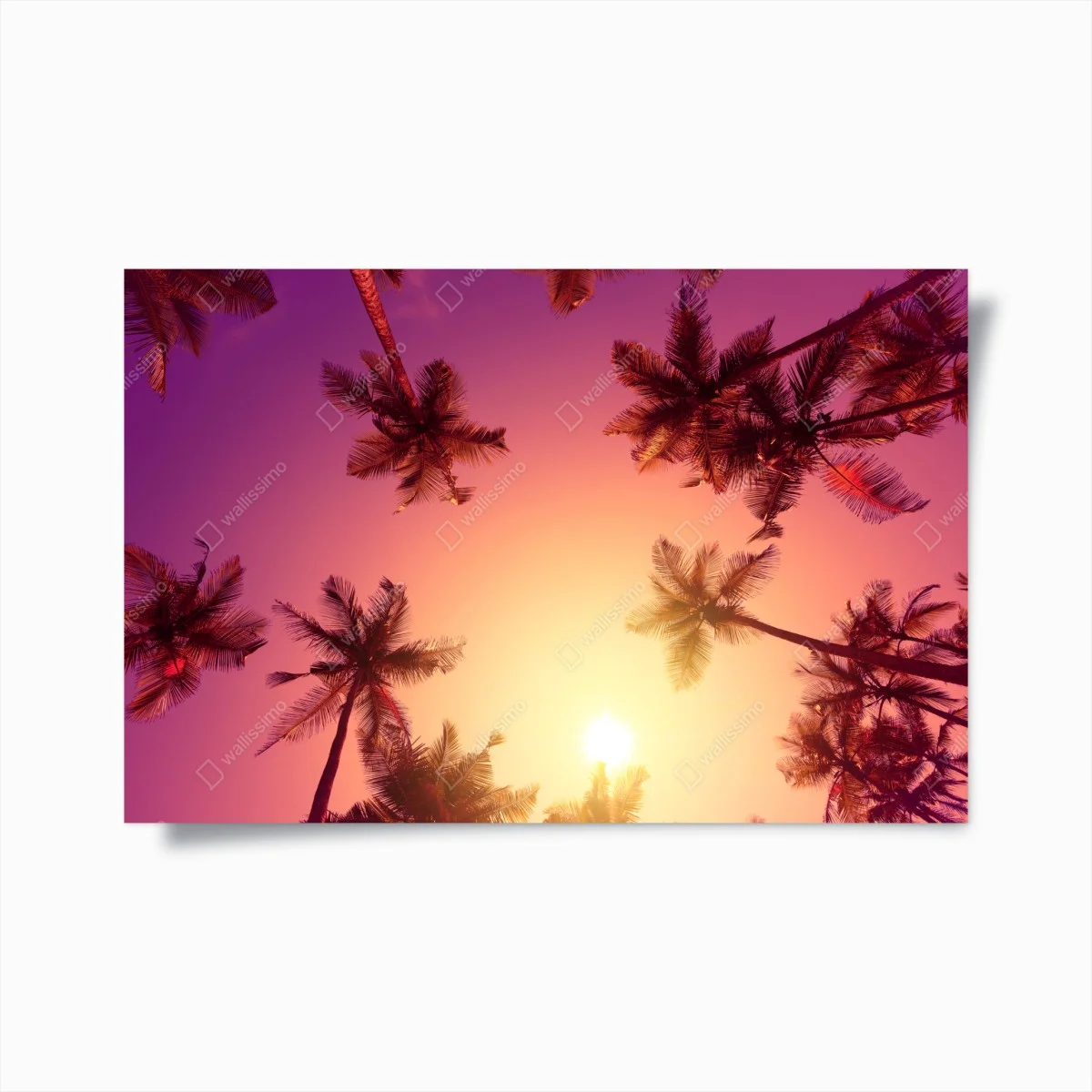 Poster tropischer sonnenuntergang mit palmen-silhouetten – Wallnifity® Poster tropischer sonnenuntergang mit palmen-silhouetten – Wallnifity®