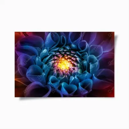 Poster leuchtende blaue chrysantheme nahaufnahme – Wallnifity®