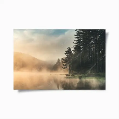 Poster nebliger sonnenaufgang über waldsee – Wallnifity®
