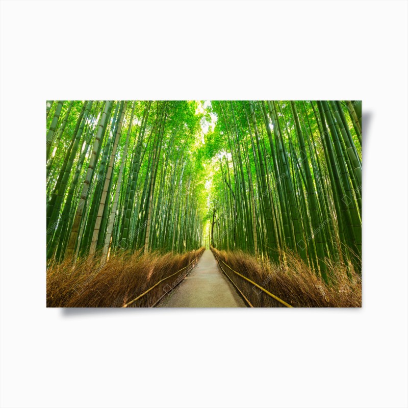 Wälder – Wallnifity®