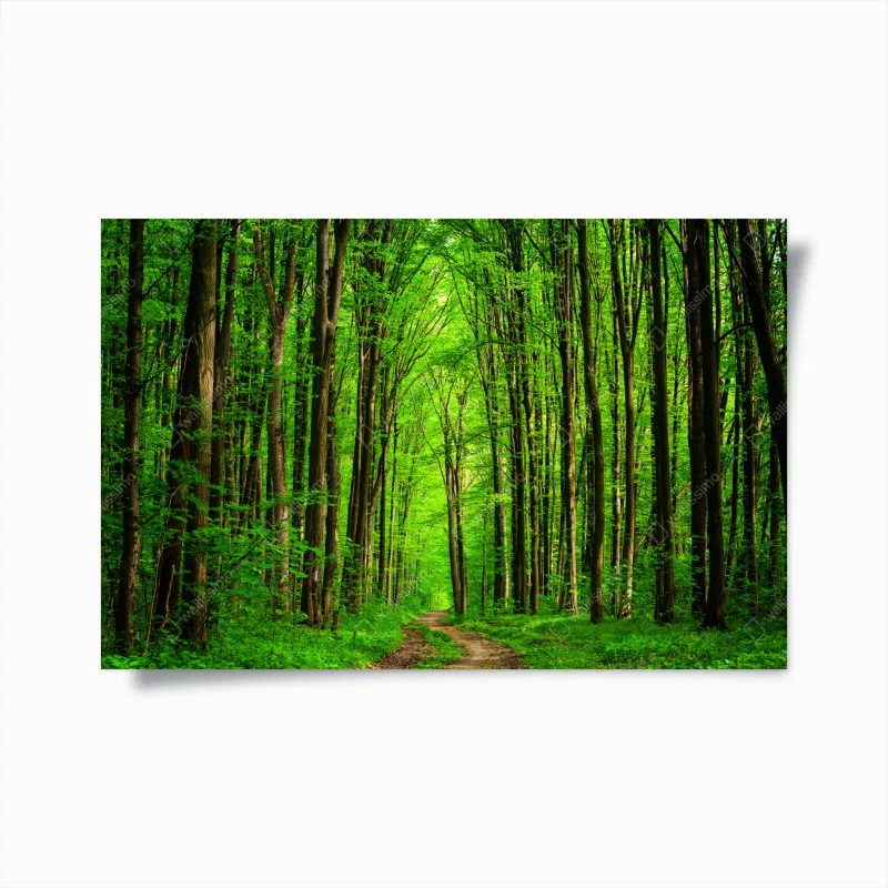Natur – Wallnifity®