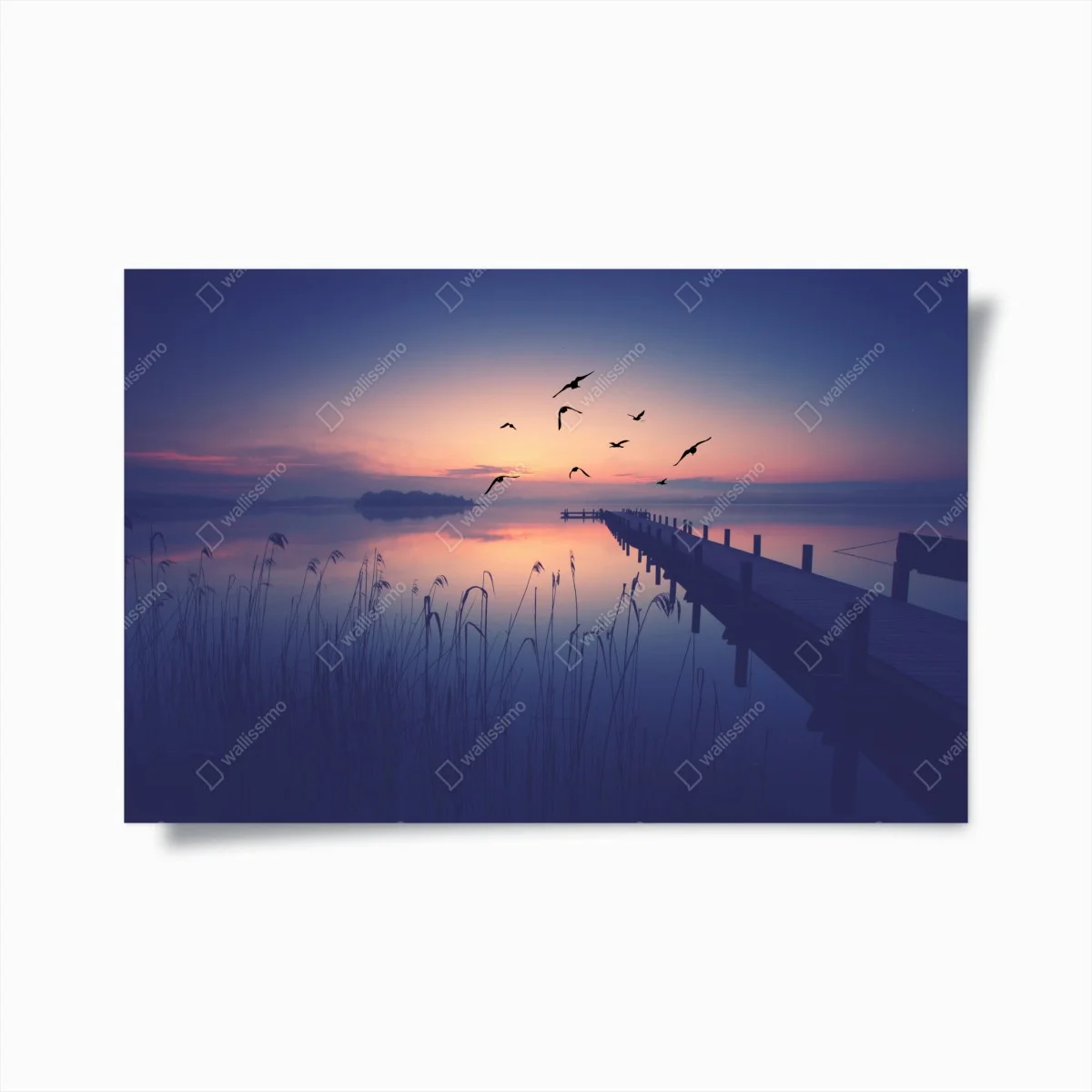 Poster ruhiger sonnenaufgang am see mit vögeln – Wallnifity® Poster ruhiger sonnenaufgang am see mit vögeln – Wallnifity®
