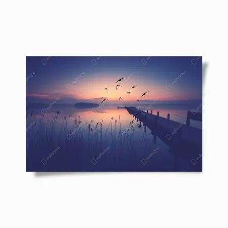 Poster ruhiger sonnenaufgang am see mit vögeln – Wallnifity®
