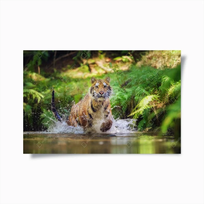Tiere – Wallnifity®