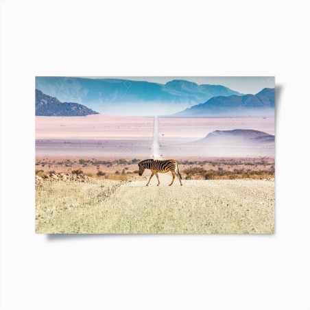 Poster zebra auf der wüstenstraße – Wallnifity®