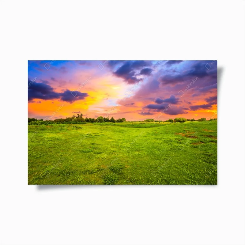 Natur – Wallnifity®