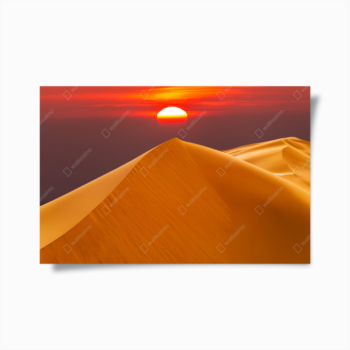 Poster goldener sonnenuntergang über sanddünen – Wallnifity®