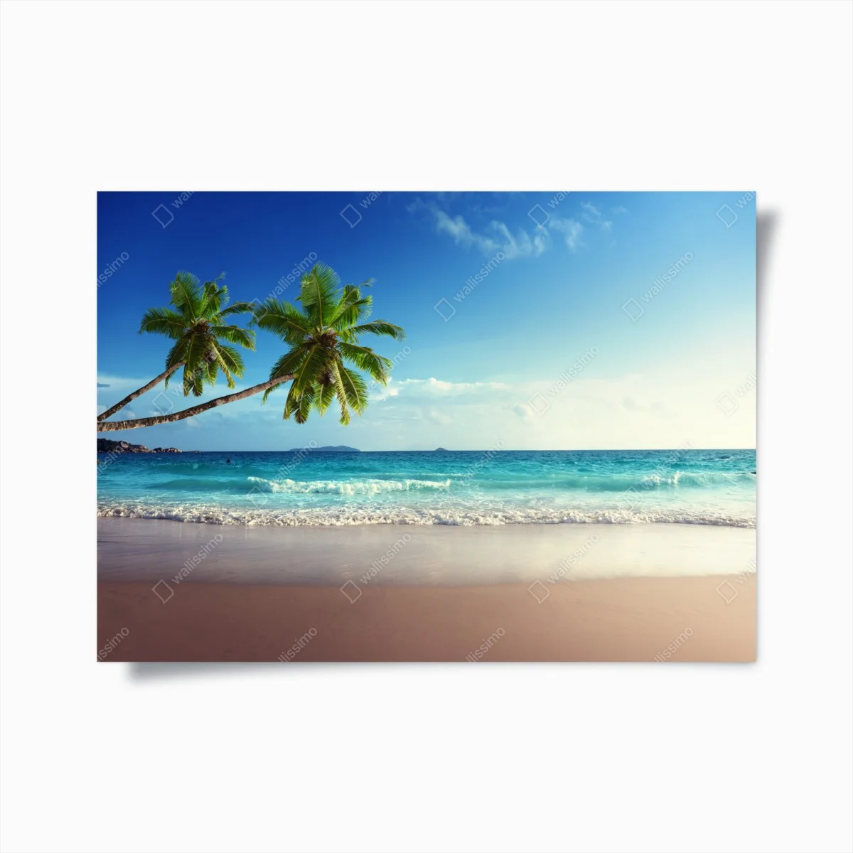 Poster tropischer Karibikstrand bei sonnenuntergang – Wallnifity® Poster tropischer Karibikstrand bei sonnenuntergang – Wallnifity®