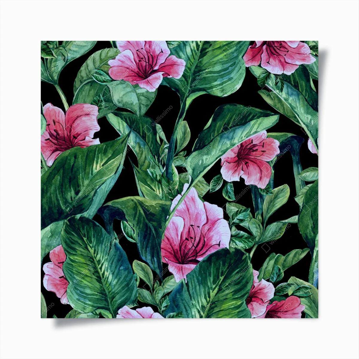 Poster rosa aquarellblumen auf schwarzem hintergrund – Wallnifity® Poster rosa aquarellblumen auf schwarzem hintergrund – Wallnifity®