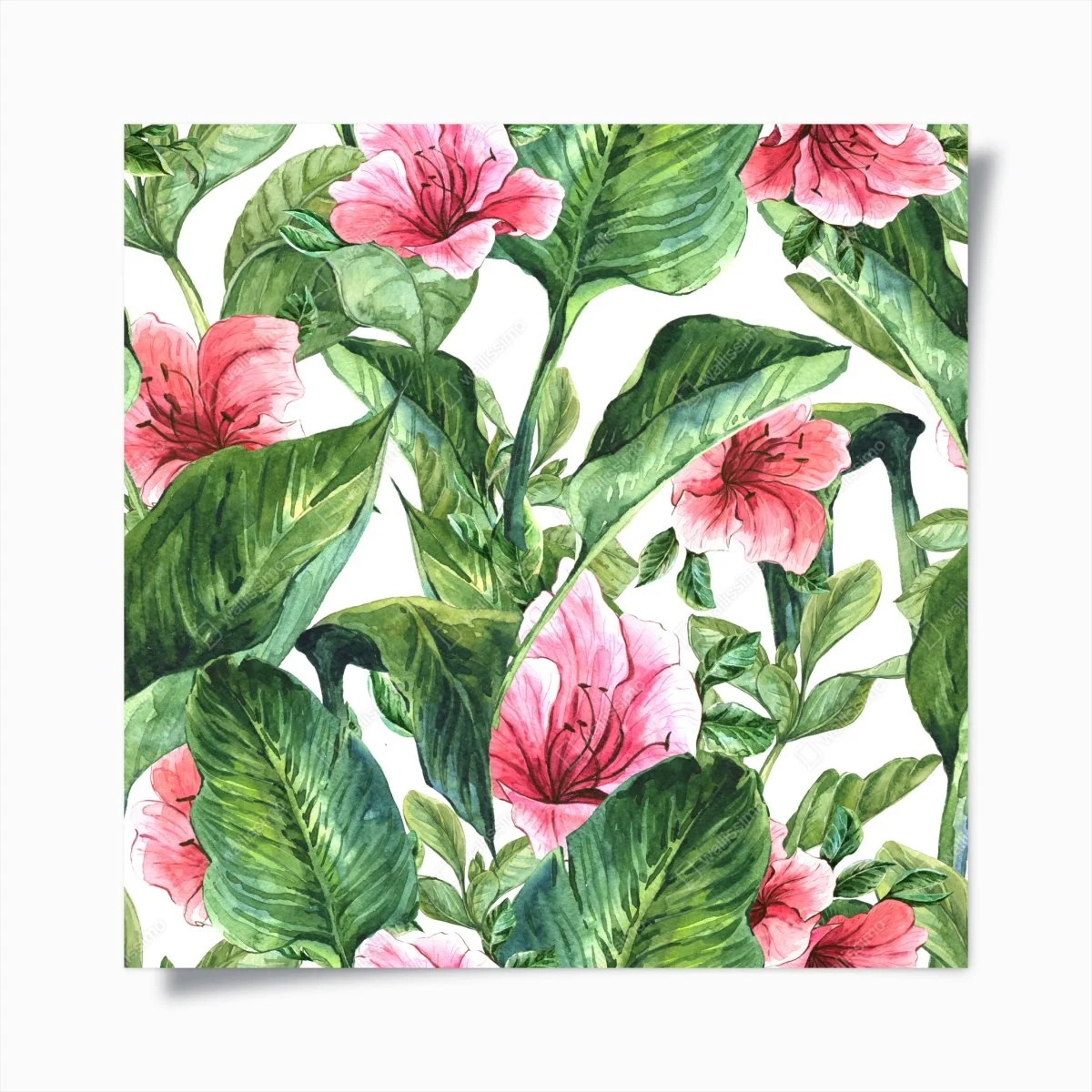 Poster rosa aquarell blumen botanikmotiv – Wallnifity® Poster rosa aquarell blumen botanikmotiv – Wallnifity®