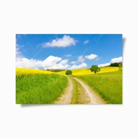 Poster sonniger landeweg durch gelbe felder – Wallnifity®