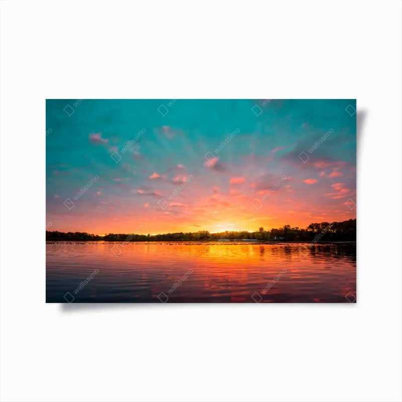 Urban Chic – Wallnifity®