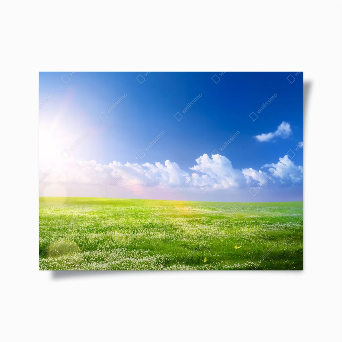 Poster sonnige frühlingswiese unter blauem himmel – Wallnifity® Poster sonnige frühlingswiese unter blauem himmel – Wallnifity®