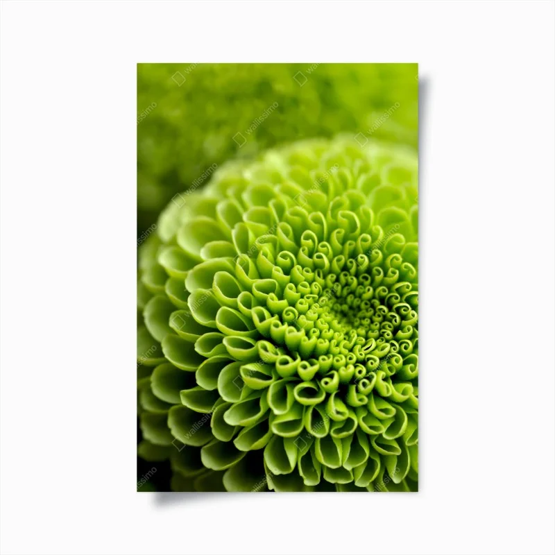 Poster leuchtende grüne blumenspirale im makro